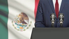 >Asesoría Política (Senado de la República y Cámara de Diputados) Ley | Servicios | Goldman Berkeley