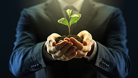 Derecho Ambiental Ley | Servicios | Goldman Berkeley